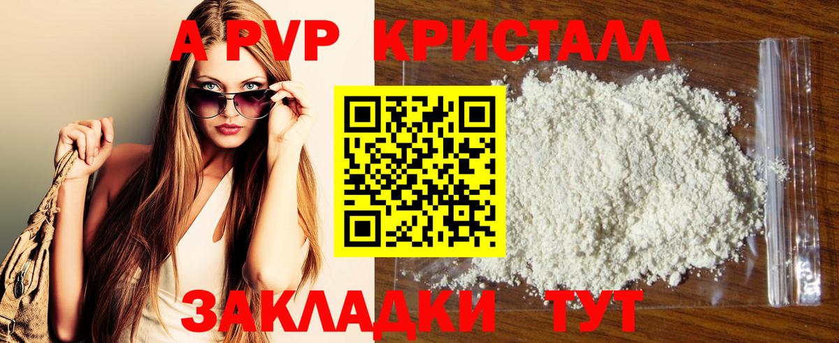 Альфа ПВП СК КРИС Черкесск