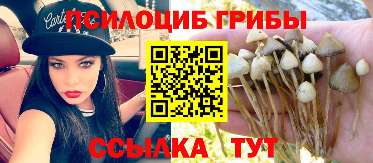 Псилоцибиновые грибы Psilocybine cubensis  Вход с VPN  Черкесск 
